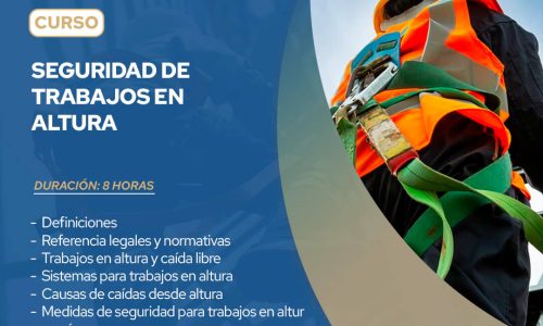SEGURIDAD DE TRABAJOS EN ALTURA